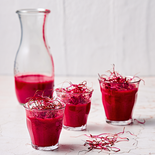 Slow Juicer H320N grey