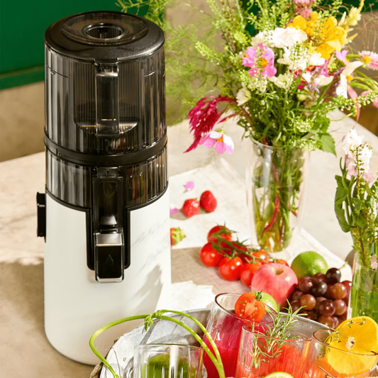 Slow Juicer H70-FT Easy Clean weiss