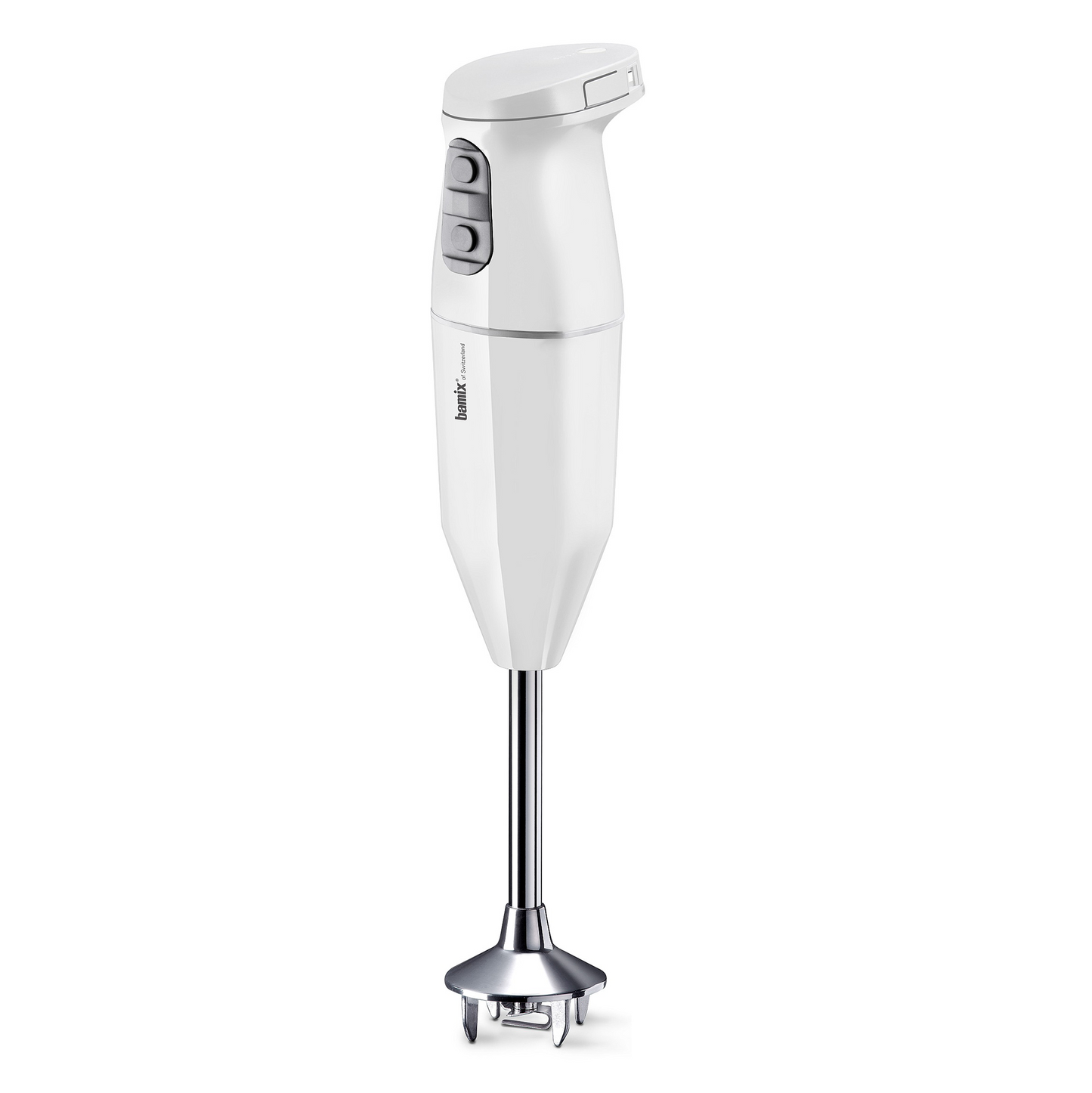 Stabmixer Cordless