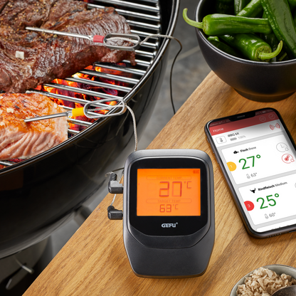 Thermomètre pour grill et rôtis Control+ 